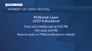 Internet Cat Video Festival