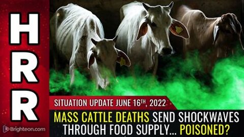 Situation Update, 06/16/2022 - Mass CATTLE deaths send shockwaves through food supply... POISONED?