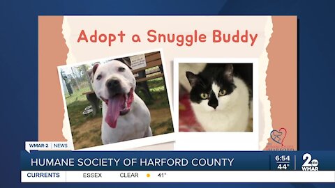 Humane Society of Harford County