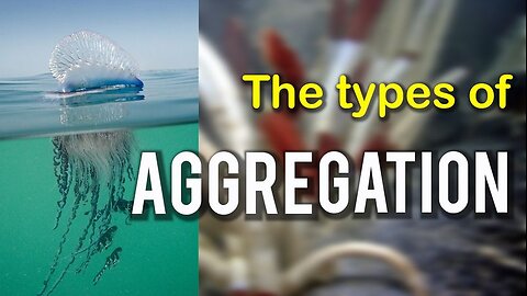 The Types of Aggregation