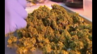 New fight over medical marijuana