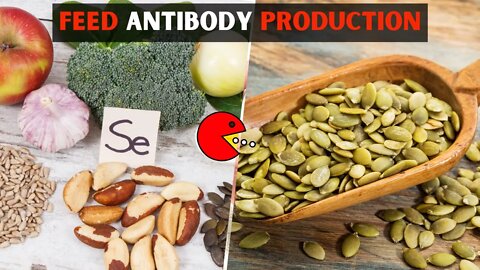 Kickstart IMMUNITY and ANTIBODY Production with Nuts and Seeds