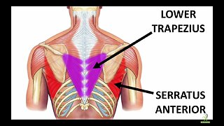 THE BEST WAY TO EASE JOINT PAIN AND DISCOMFORT