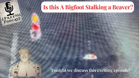 Unbelievable Thermal Image Captures Possible Bigfoot in Alaska