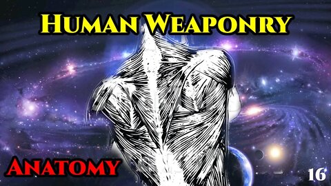Human Weaponry : Anatomy (CH.16) | Humans are Space Orcs | Hfy