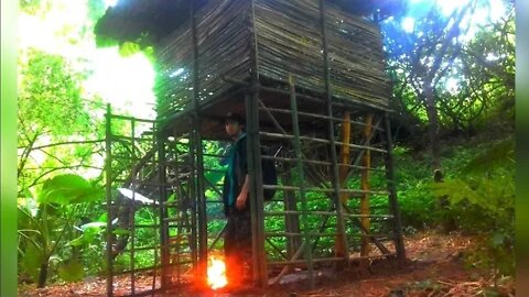 (Suspended bamboo shelter) Construindo um abrigo elevado de bambu.