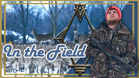 Cut Cornfield Deer Hunting | In the Field