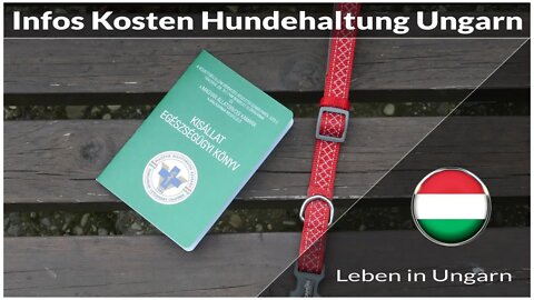 Infos zu Kosten Hundehaltung Ungarn - Leben in Ungarn