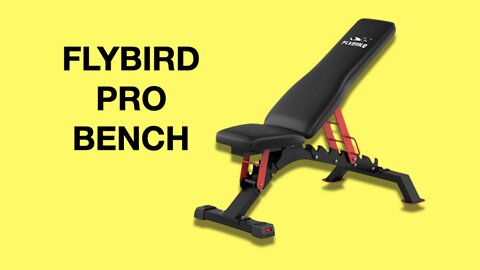 Flybird Pro Adjustable Bench Review (Flybird’s BEST Weight Bench)