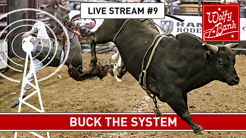 Live Stream #9 - Buck the system