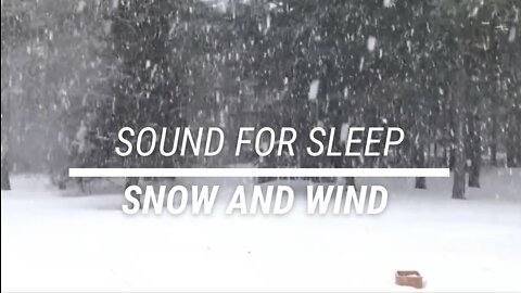 Sound for sleep Snow and Wind 3 hours