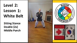 Baehr Taekwondo: 02-01: Yellow Stripe: Sitting Stance - Double Middle Punch (punch 2x)