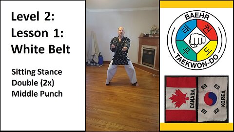 Baehr Taekwondo: 02-01: Yellow Stripe: Sitting Stance - Double Middle Punch (punch 2x)