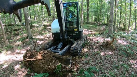 Cutting a new road through the woods & fixing old logging road w/Mongo tilt bucket & mini excavator