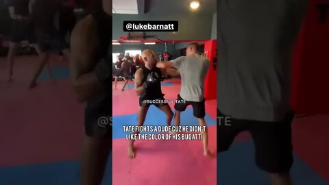 Andrew Tate spars Luke Barnatt