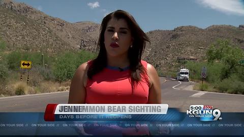 Game and Fish warns of bears spotted on Mount Lemmon