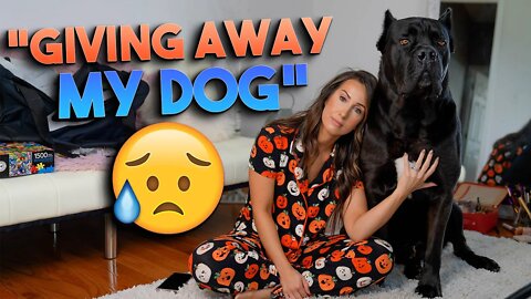 BEFORE Buying a Cane Corso WATCH THIS! "Giving Up My Dog!" 😢