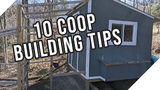 10 Things to Think About When Building Your Chicken Coop