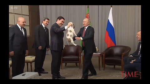 What happened at the moment when putin got a puppy as a gift ?🙄🧐❤️