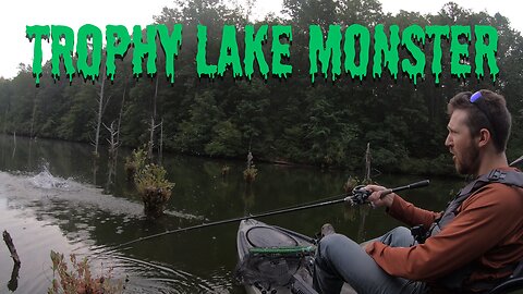Chasing GIANT Bass in Fish HEAVEN