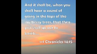 November 3 (Year 3) - What do the angels do for God? - Tiffany Root & Kirk VandeGuchte