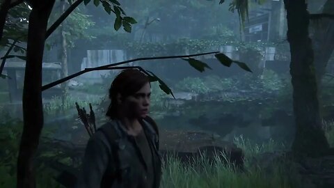 The Last of Us Part II Find Glitch