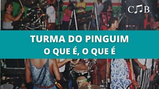 Turma do Pinguim - O Que É, O Que É