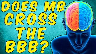 Does Methylene Blue Cross The Blood Brain Barrier?