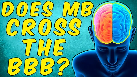 Does Methylene Blue Cross The Blood Brain Barrier?