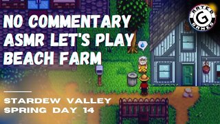 Stardew Valley No Commentary - Family Friendly Lets Play on Nintendo Switch - Spring Day 14