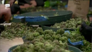Wisconsin's border states are making big revenue on legalized marijuana