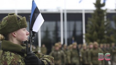 Estonia thwarts ‘hybrid operation’ by Kremlin special forces in NATO territory