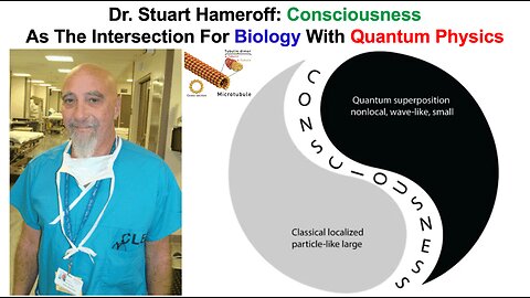 Consciousness As The Intersection For Biology With Quantum Physics: Stuart Hameroff, MD