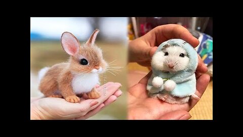 Cute baby animals Videos Compilation cute moment of the animals -Cutest Animals 2023