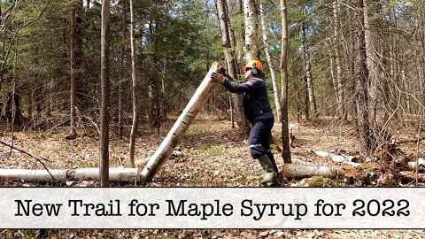 New Trail for Maple Syrup for 2022