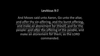 Leviticus Chapter 9