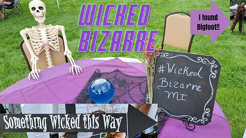 Wicked Bizarre - Livonia, MI