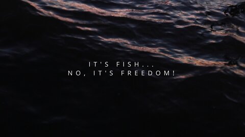 It's Fish... No, It's Freedom! - A Fishing Documentary || Official Trailer