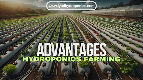 5.Advantages of Hydroponic(Jyoti Hydroponics Farm) | Advantages and disadvantages of hydroponics farming - 2024 | The Benefits of Hydroponic Farming | Hydroponic Farming : Advantages and Disadvantages