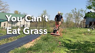 Transforming Grass to Food