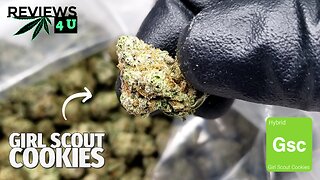 GIRL SCOUT COOKIES STRAIN REVIEW | THC REVIEWS 4 U
