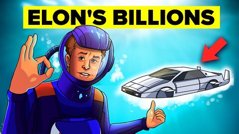 Weird Things Elon Musk Buys With His Billions