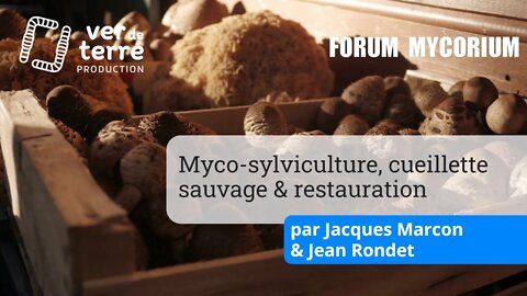 Myco sylviculture, ceuillette sauvage et restauration par Jacques Marcon et Jean Rondet