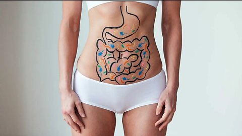 The Science of Gut Health (& Why It Matters)