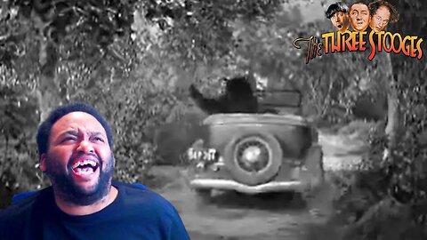 Winnie Got His Driver's License _ The Three Stooges Ep 85 _ Reaction