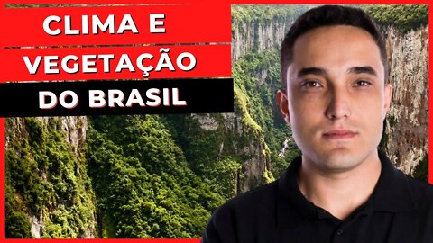 CLIMA E VEGETAÇÃO DO BRASIL - Ciências Naturais - ENCCEJA - Ensino Fundamental - Aula 12