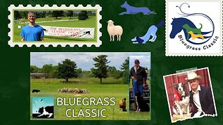 Border Collie Sheepherding Trials- Live at the Bluegrass Classic, Lexington, KY