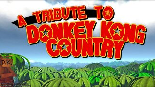 A Tribute To Donkey Kong Country