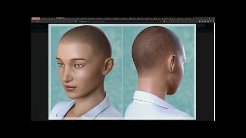 Black and #African Female Hairstyles Assets On Daz3d Marketplace