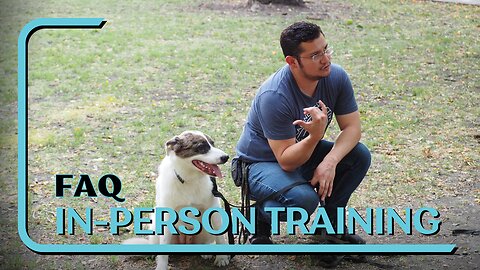 FAQ: What Distinguishes Our In-Person Dog Training Program From Others? Real World Dog Training